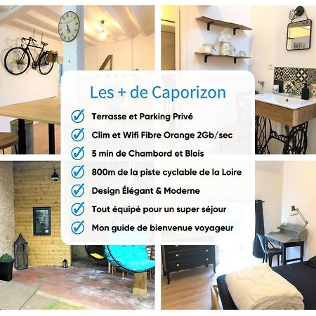 Caporizon-L'Atelier-Aux Portes Du Chateau De Chambord Saint-Claude-de-Diray 外观 照片
